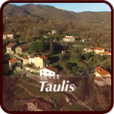 Taulis